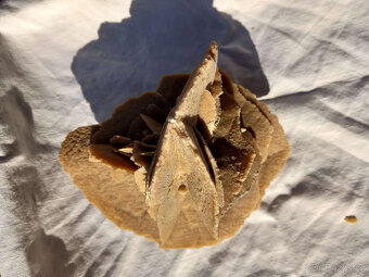 Minerál, nerost, sádrovec - pouštní růže 2 - 3