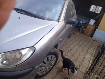 Peugeot 206 1.4 Hdi - 3