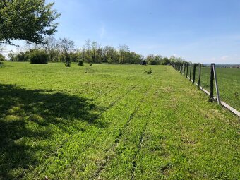Pronájem zahrady ve Zdibech – 500 m², krásné prostředí - 3