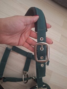 Ohlavky eskadron - 3