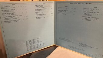 MUDDY WATERS - Fathers And Sons. LP - 3