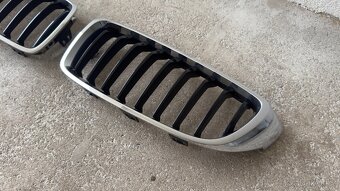 BMW 4 ladvinky / obličky / predna maska - 3