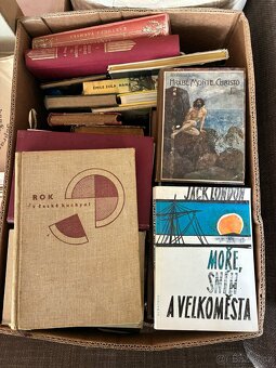 Prodám knihy + LP desky - 3