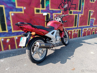 Honda CBF 250 - 3