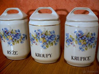 Kořenky pomněnky - 3