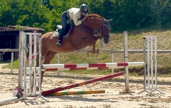 Valach 2020 po For Treasure VDL - 3