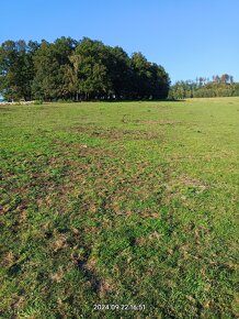 Louka,pozemek, 9,5 ha - 3