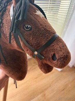 Hobby horse - 3