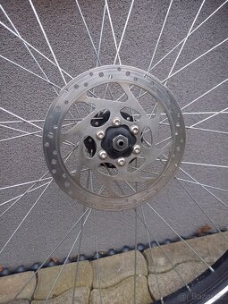 Kola 26" - 3