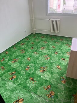koberec včelka Mája - 3