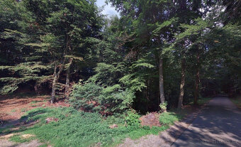 K prodeji lesní pozemky, Hartinkov, okres Svitavy - 3