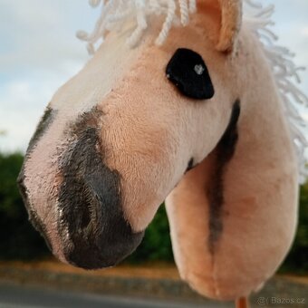 Hobby horse - 3