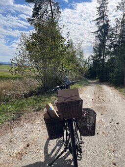 Dámské elektrokolo - 3