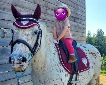 Pony sada - 3