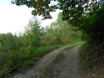 Prodej parcely3606m2,s výhledem na UL a lesem,Kr.Březno - 3