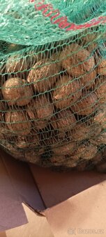 Vlašské ořechy neloupané 6 kg - 3