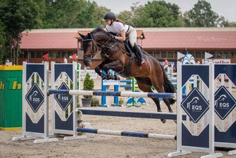 12letá klisna po Drosselklang II - 3