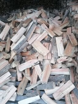 Palivové dřevo - 3