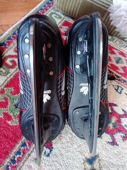 Brusle lední hokej - 3