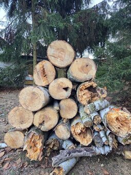 dřevo bříza na topení - 3