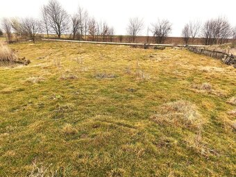 Pronájem pozemku 8.000m2 pro koně atd., 2.000 Kč měsíčně. - 3