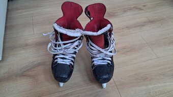 Bauer Vapor x600 vel.44 - 3