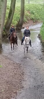 Pony klisna kat. A - 3