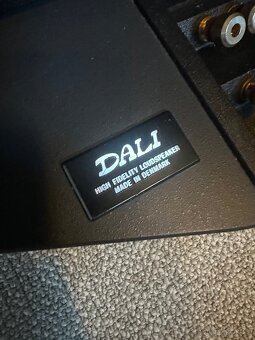 High-End Dali Skyline 1000 - 3