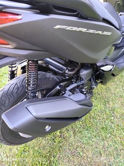 Honda Forza 350 r.v. 2024 - 3