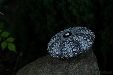 Mandala Black & White DotArt - 3