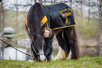 irský cob - klisna - 3