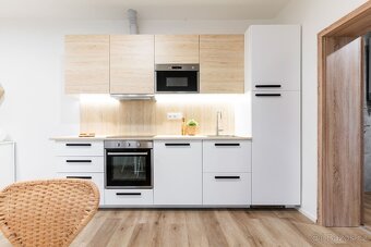 Pronájem bytu 1+kk s možností venkovního posezení / Po reko - 3