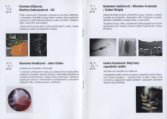Style Cafe Gallery, výstavy 2017 až 2021 - 3