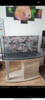 Prodám akvárium 200 l + 2xEHEIM filtrace 4+350/250 - 3