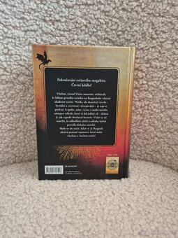 Železný plamen - Rebecca Yarros - 3