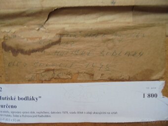 Hutnické bodláky - 1973 - neurčeno ? ? - 3