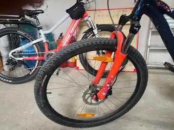 Kolo Specialized - 3