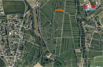 Prodej louky, 1828 m², Cerekvice nad Loučnou-Pekla - 3