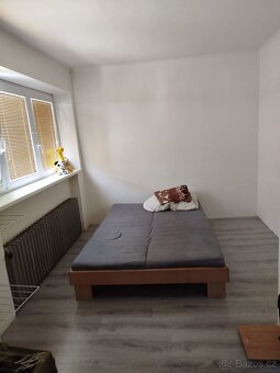 Pronájem bytu v rodinném domě - 3