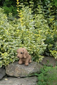 Zahradní dekorace - pes, pejsek, umělý kámen - 3