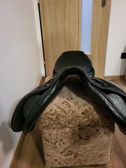 Kentaur Young Jumper - 3