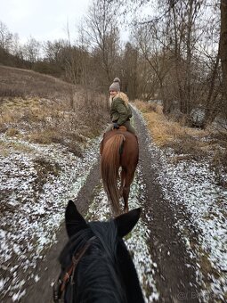 Jízda na koních - 3