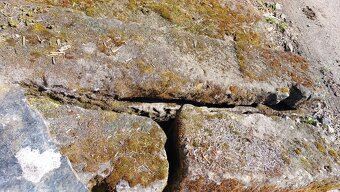 Piskovcove sloupky plotove, delka cca 200cm - 3