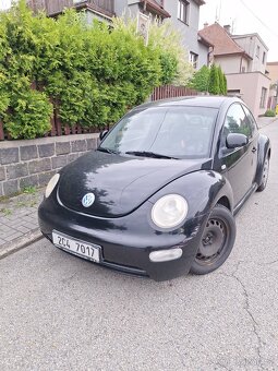 New Beetle - 3