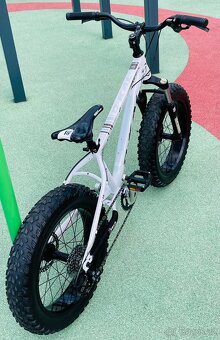 MTB Dirt Fatbike D-Kal 20” - 3