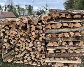 Suché štípané palivové dřevo - borovice - 3