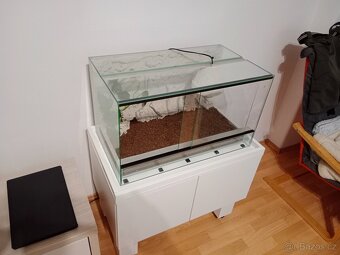 Terárium - 3