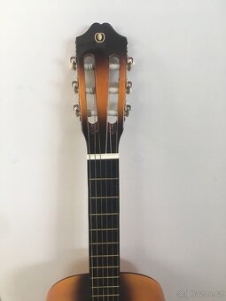 Kytara Pecka CGP-44 SB - 3
