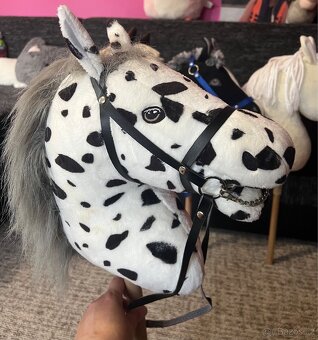 Hobby horse - 3