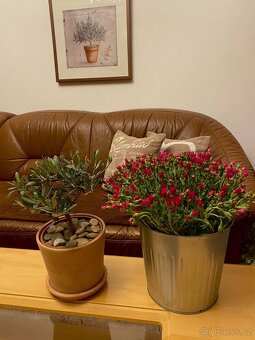 Rohová kožená sedačka hnědá - 3